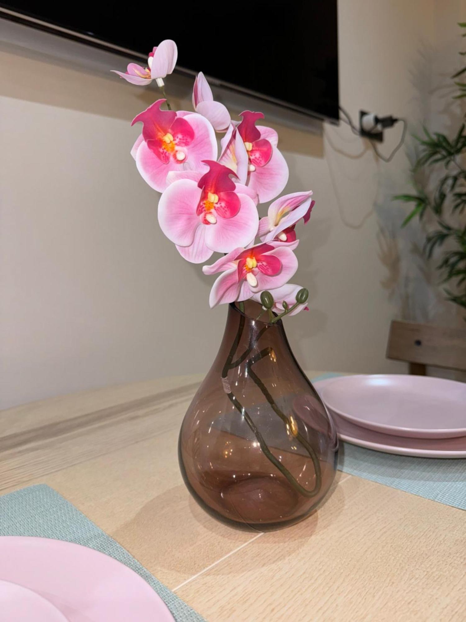 Parking Vigilado Gratis Pleno Centro,Cozy Apartment Granada Picon Center, Recien Reformado 外观 照片
